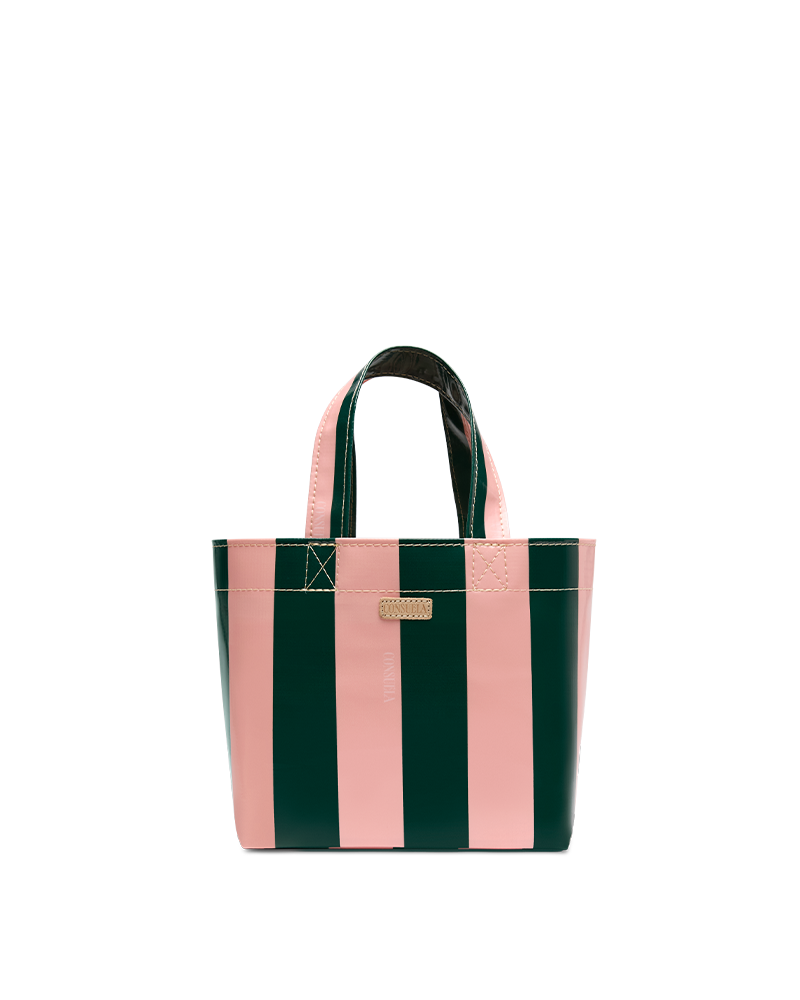 FERN GRAB 'N' GO MINI